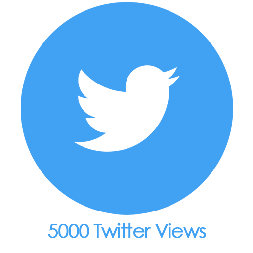 Buy 5,000 Twitter Views PayPal