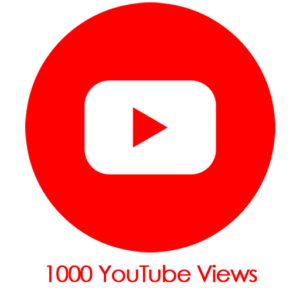 Buy 1000 YouTube Video Views PayPal