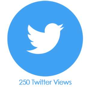 Buy 250 Twitter Views PayPal