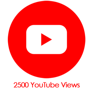 Buy 2,500 YouTube Video Views PayPal