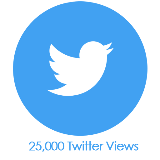 Buy 25,000 Twitter Views PayPal